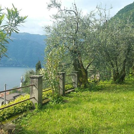 Gli Ulivi Di Nesso Villa Екстериор снимка